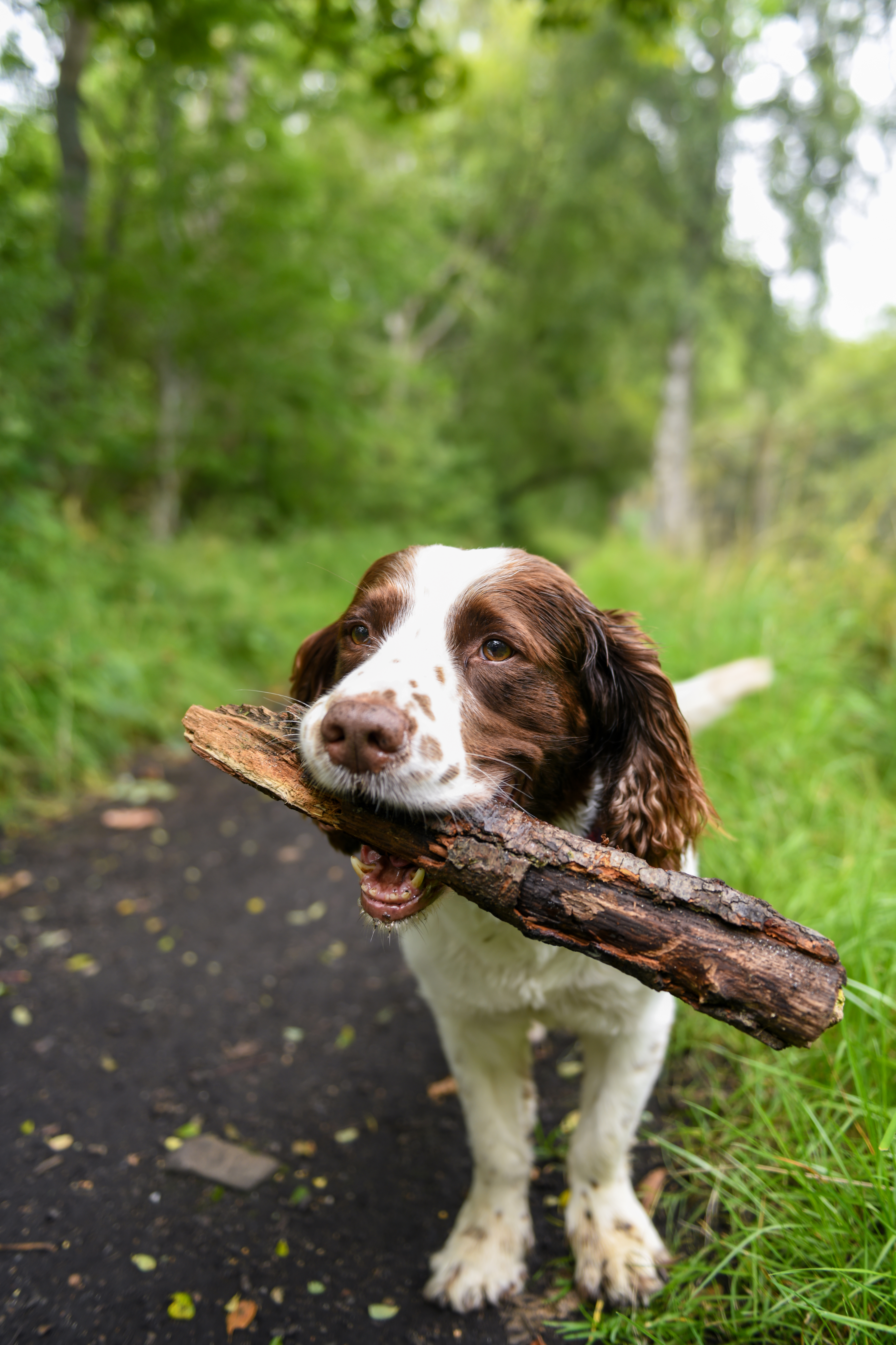 Solo walk